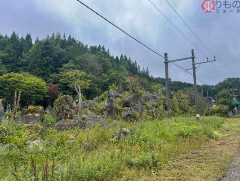 峠駅の写真5