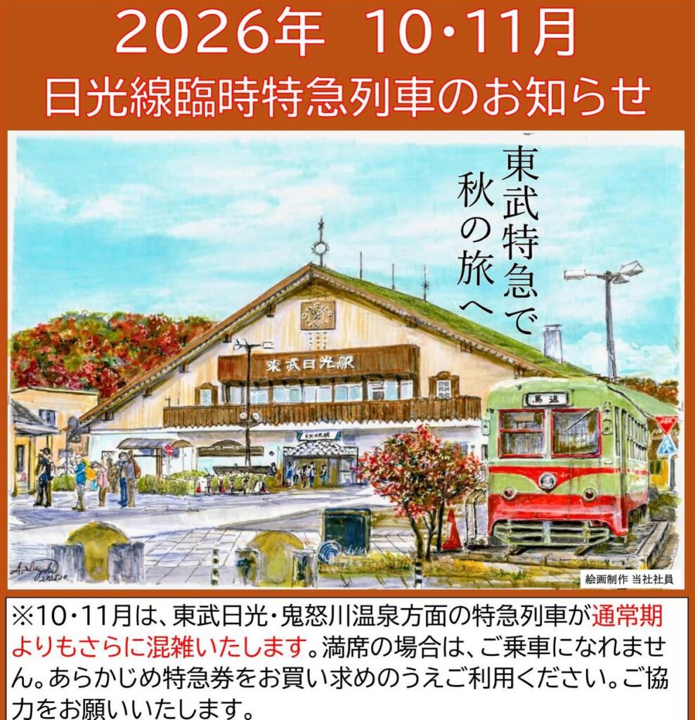 日光紅葉夜行の写真1