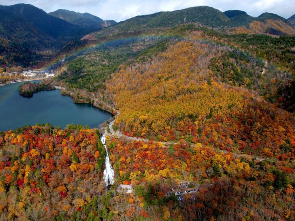 日光紅葉夜行の写真2