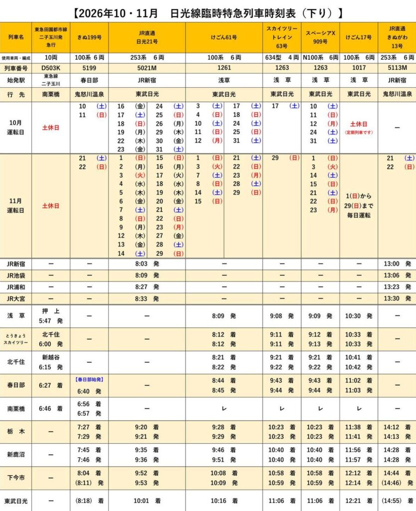 日光紅葉夜行の写真4
